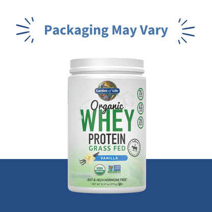 Garden of Life Grass Fed Whey Protein Powder Vanilla - 21g Protein for Women & Men + Probiotics - 12 Servings - Gluten Free, Non GMO, Kosher, Humane, RBST & rBGH Hormone Free - Maple Wellness Supplements