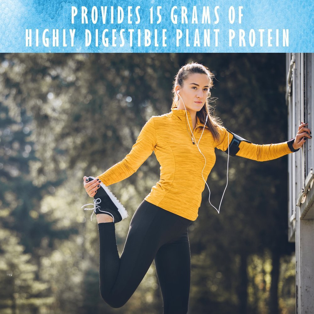 Garden of Life Organic Plant Based Protein Powder - Smooth Vanilla, Vegan, Grain Free - Maple Wellness Supplements