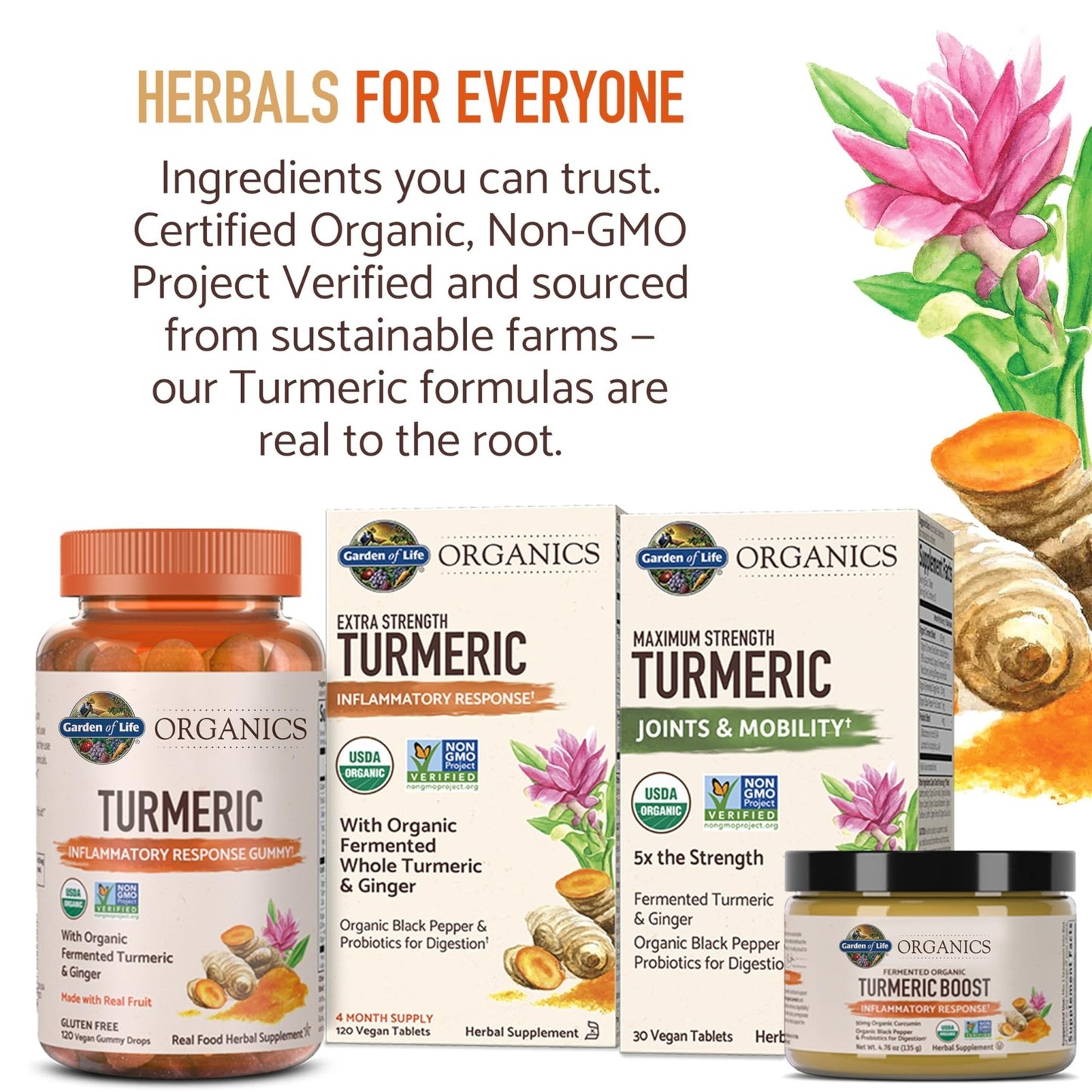 Garden of Life Organics Extra Strength Turmeric Inflammatory Response 120 Tablets-100Mg Curcumin (95% Curcuminoids) Black Pepper, Probiotics, Organic Non-GMO Vegan Gluten Free Herbal Supplement - Maple Wellness Supplements