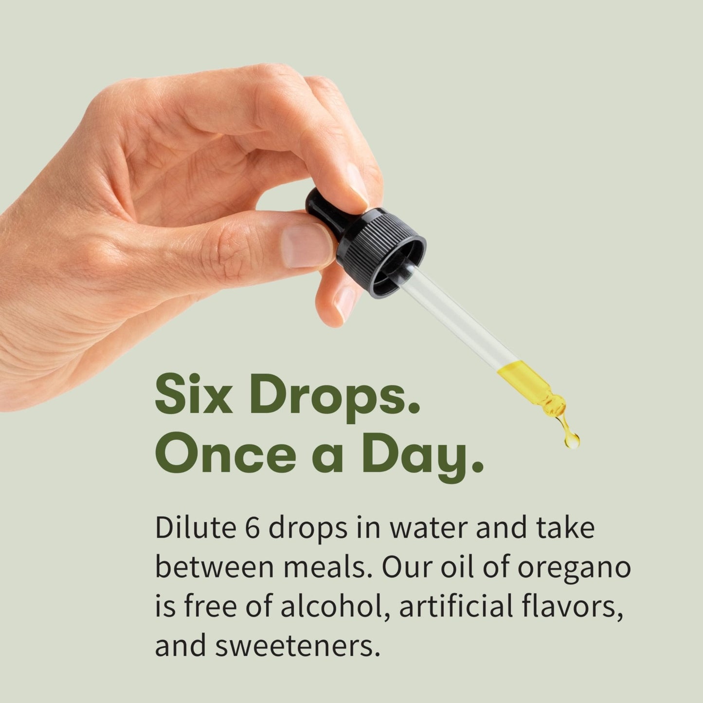 Garden of Life Organics Oil of Oregano Seasonal Drops 1fl oz (30 mL) Liquid, Concentrated Plant Based Immune Support - Alcohol-Free, Organic, Non-GMO - Maple Wellness Supplements