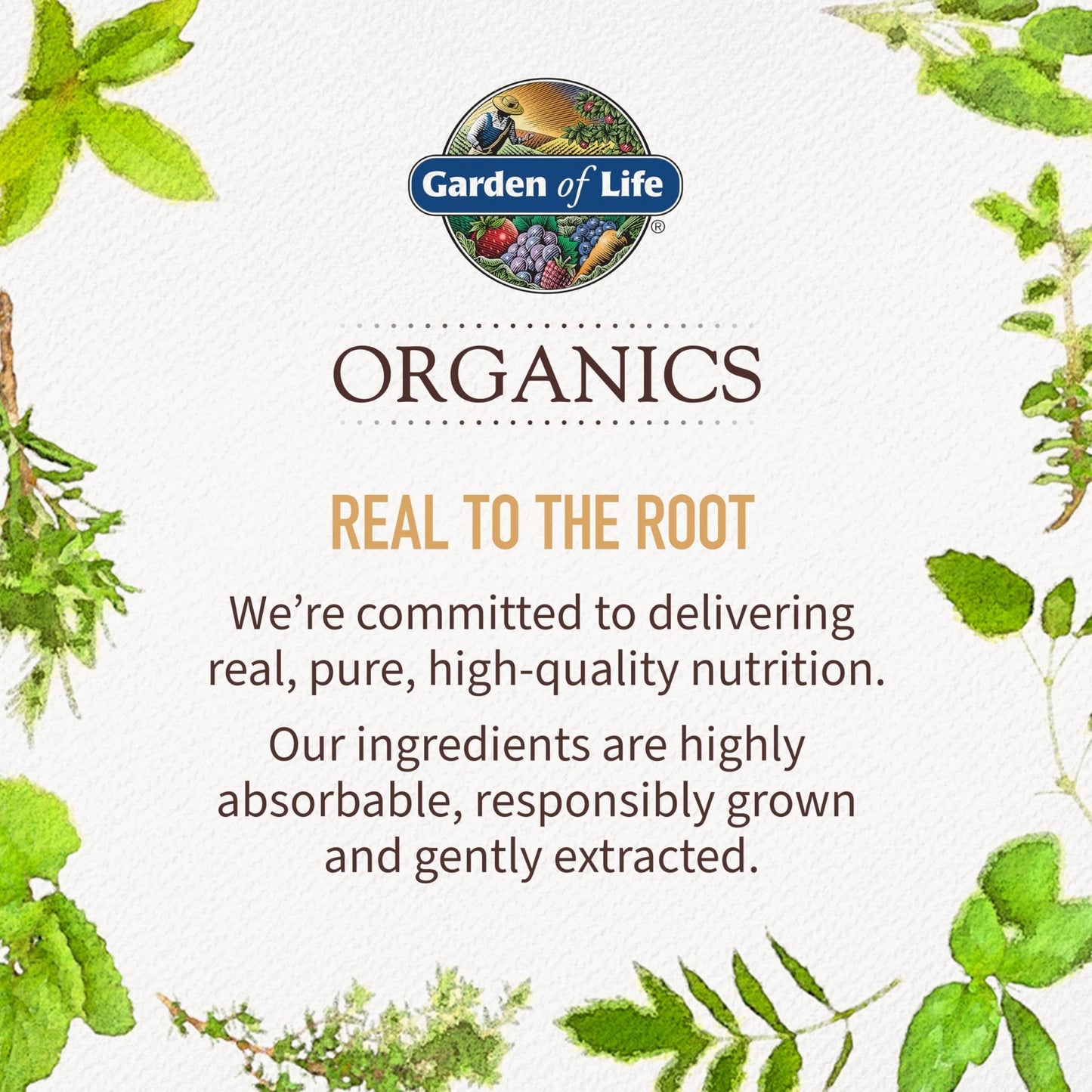 Garden of Life Organics Organic Multivitamin for Women - Womens Multi with Vitamin C, D, Folate, B6, B12, Biotin, Iron - Maple Wellness Supplements