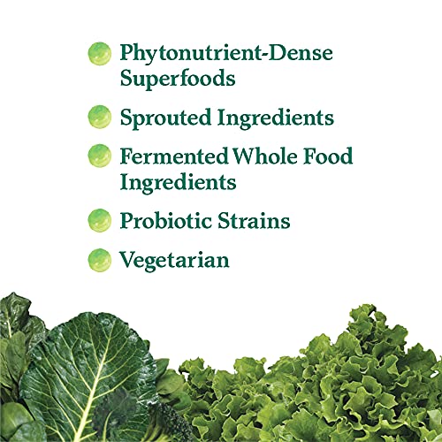 Garden of Life Perfect Food Super Green Formula - 14 Servings | 45 Superfoods, Greens - Maple Wellness Supplements