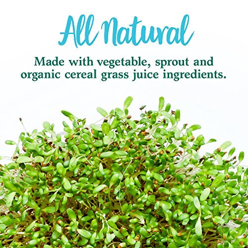 Garden of Life Perfect Food Super Green Formula - 14 Servings | 45 Superfoods, Greens - Maple Wellness Supplements