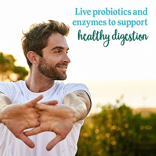 Garden of Life Perfect Food Super Green Formula - 14 Servings | 45 Superfoods, Greens - Maple Wellness Supplements