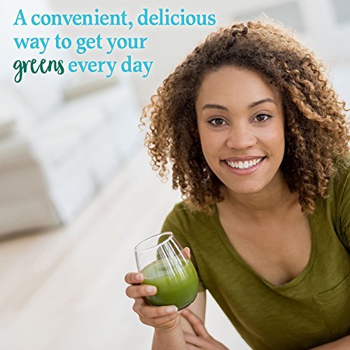 Garden of Life Perfect Food Super Green Formula - 14 Servings | 45 Superfoods, Greens - Maple Wellness Supplements