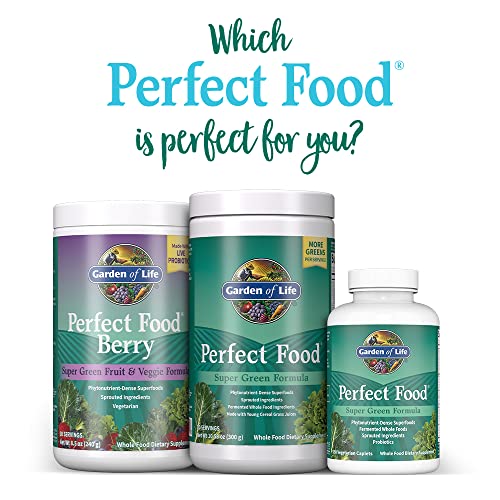 Garden of Life Perfect Food Super Green Formula - 14 Servings | 45 Superfoods, Greens - Maple Wellness Supplements
