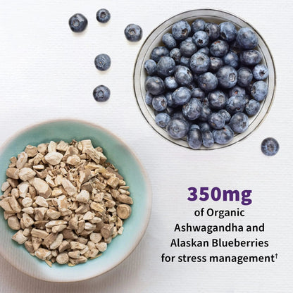 Garden of Life Probiotics Mood+ Dr Formulated Acidophilus Probiotic Supplement - Promotes Emotional Well-Being, Relaxation and Digestive Balance - Ashwagandha for Stress Management, 60 Veggie Caps - Maple Wellness Supplements