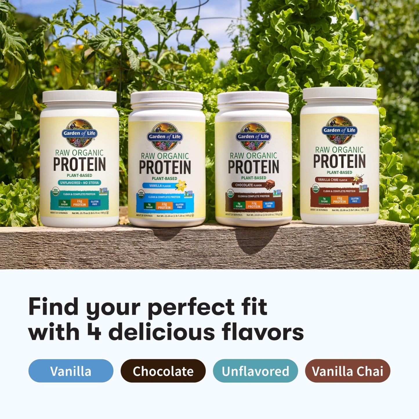 Garden Of Life Protein Powder, Vegan Protein Powder, Bcaa, Probiotics & Digestive Enzymes, Gluten & Lactose Free, Vanilla, 23.28 Ounce - Maple Wellness Supplements