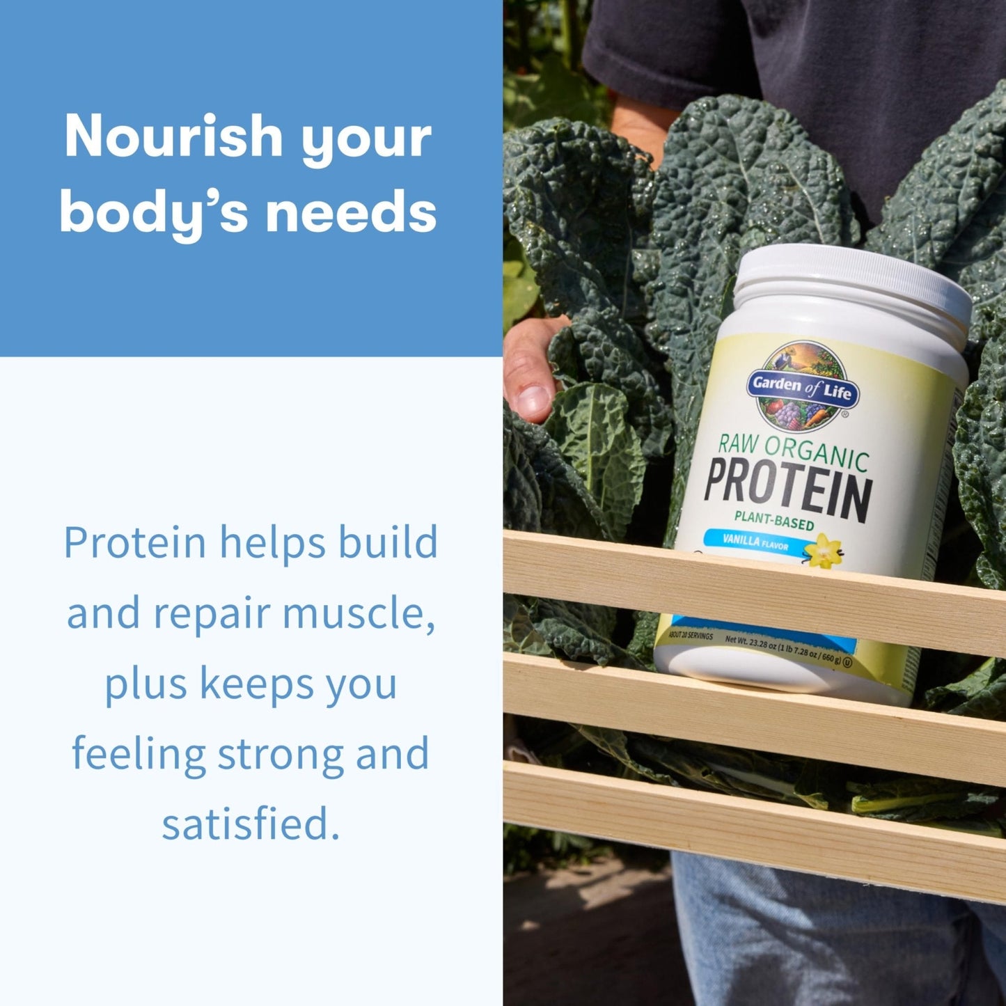 Garden Of Life Protein Powder, Vegan Protein Powder, Bcaa, Probiotics & Digestive Enzymes, Gluten & Lactose Free, Vanilla, 23.28 Ounce - Maple Wellness Supplements