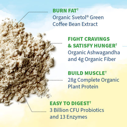 Garden of Life Raw Organic Fit Powder, Original - High Protein for Weight Loss (28g) Plus - Maple Wellness Supplements
