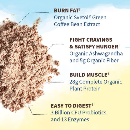 Garden of Life Raw Organic Fit Vegan Protein Powder Chocolate, 28g Plant Based Protein - Maple Wellness Supplements