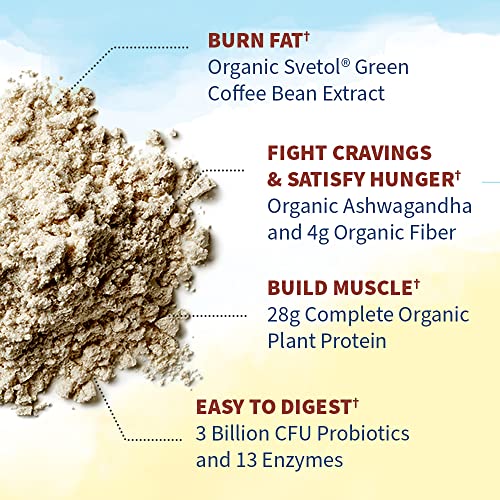 Garden of Life Raw Organic Fit Vegan Protein Powder Coffee, 28g Plant Based Protein - Maple Wellness Supplements