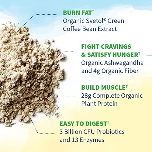Garden of Life Raw Organic Fit Vegan Protein Powder Original, 28g Plant Based Protein - Maple Wellness Supplements