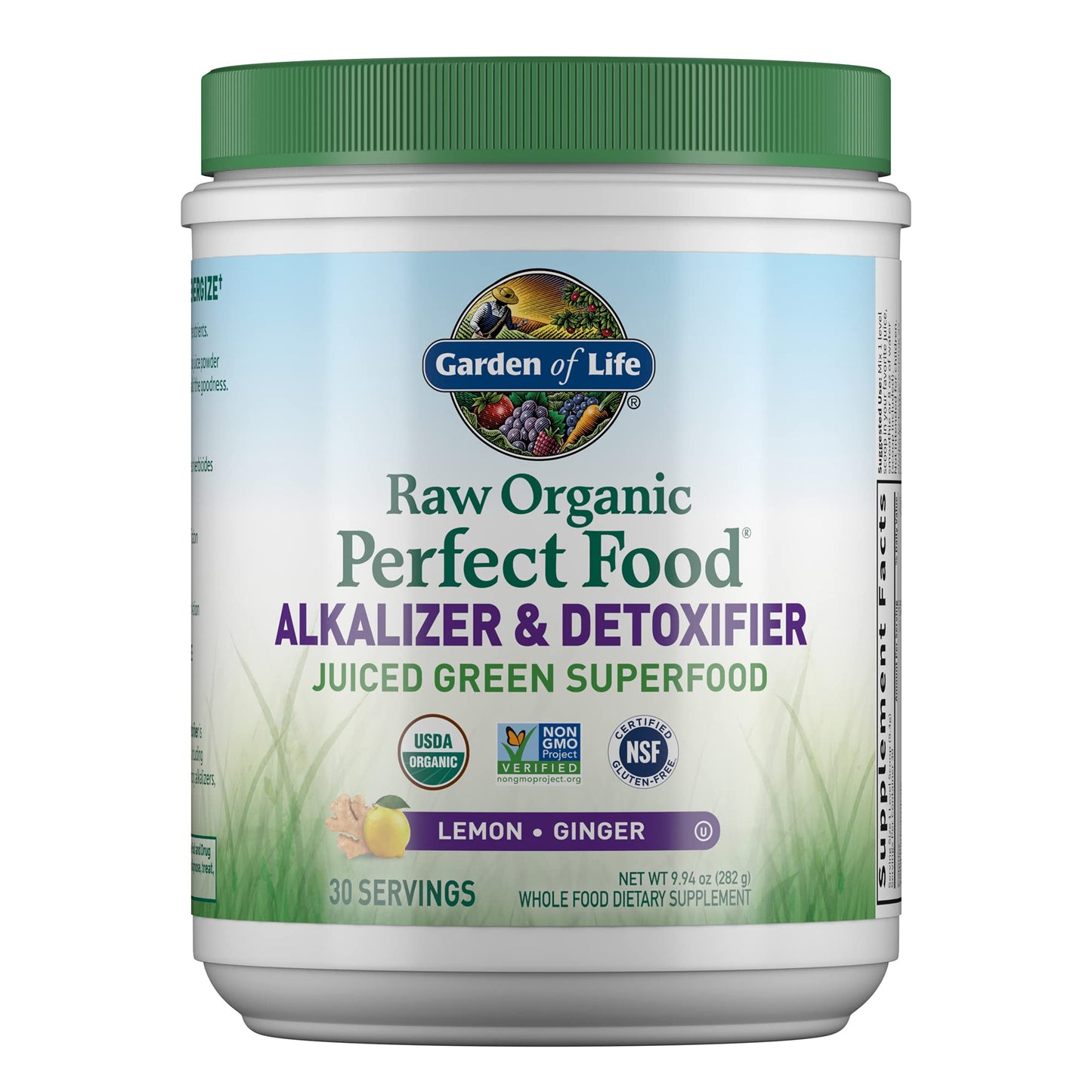 Garden of Life Raw Organic Perfect Food Alkalizer & Detoxifier Juiced Greens Superfood - Maple Wellness Supplements