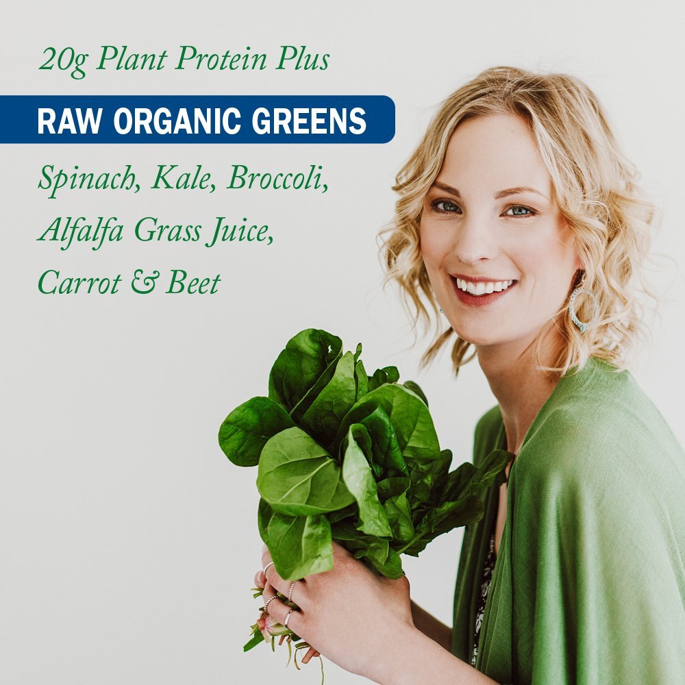 Garden of Life Raw Protein & Greens Vanilla Protein Powder – 20g Plant Based Greens Powder, Probiotics & Enzymes, Post-Workout Recovery, Vegan, Gluten-Free, Non-GMO, 20 Servings - Maple Wellness Supplements