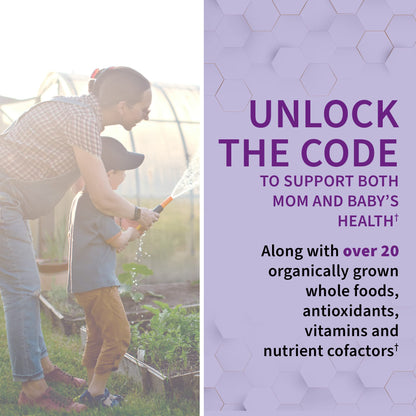 Garden Of Life, Raw Vitamin Code Prenatal, 180 Vegetarian Capsules - Maple Wellness Supplements
