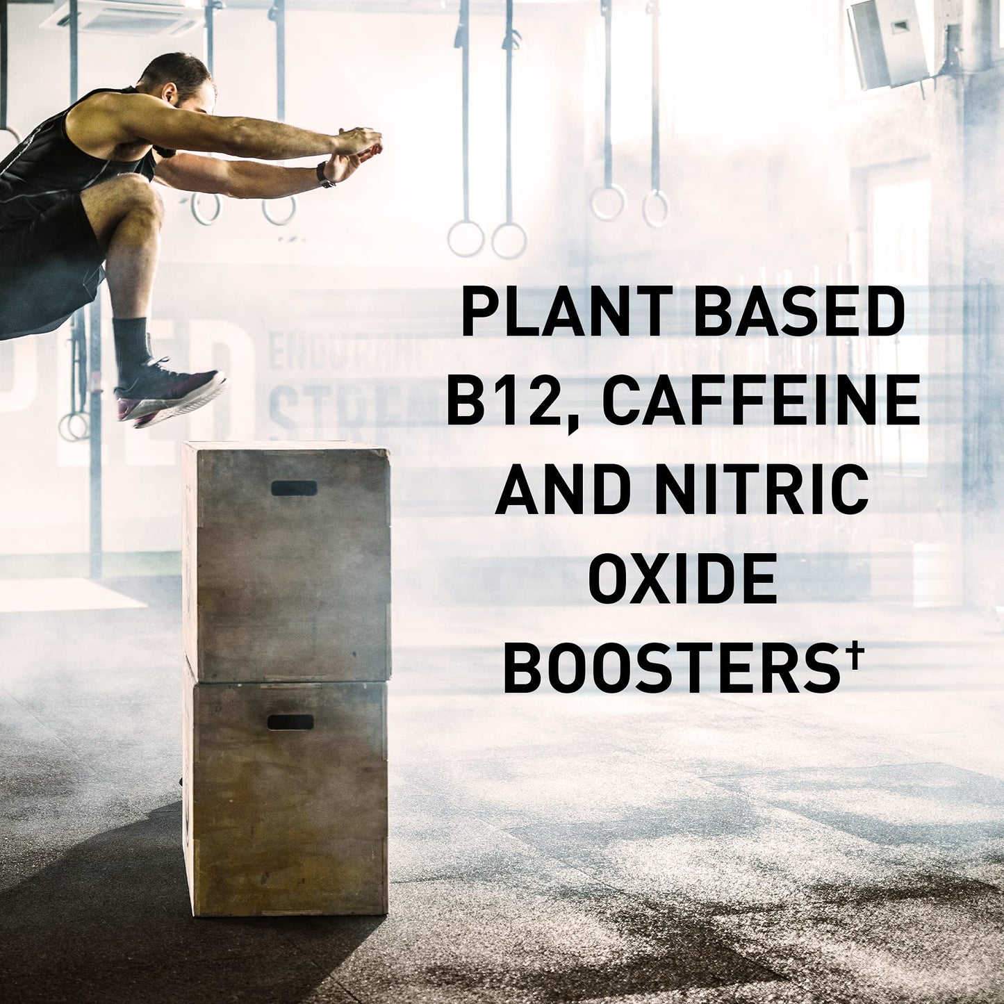 Garden of Life Sport Organic Plant Based Energy + Focus Clean Pre Workout Powder, with 85mg Caffeine, Natural No Booster, B12, Vegan, Gluten Free, Non-GMO, BlackBerry, 15.3 Oz - Maple Wellness Supplements