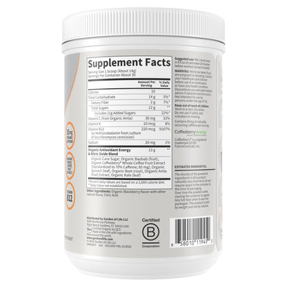 Garden of Life Sport Organic Plant Based Energy + Focus Clean Pre Workout Powder, with 85mg Caffeine, Natural No Booster, B12, Vegan, Gluten Free, Non-GMO, BlackBerry, 15.3 Oz - Maple Wellness Supplements