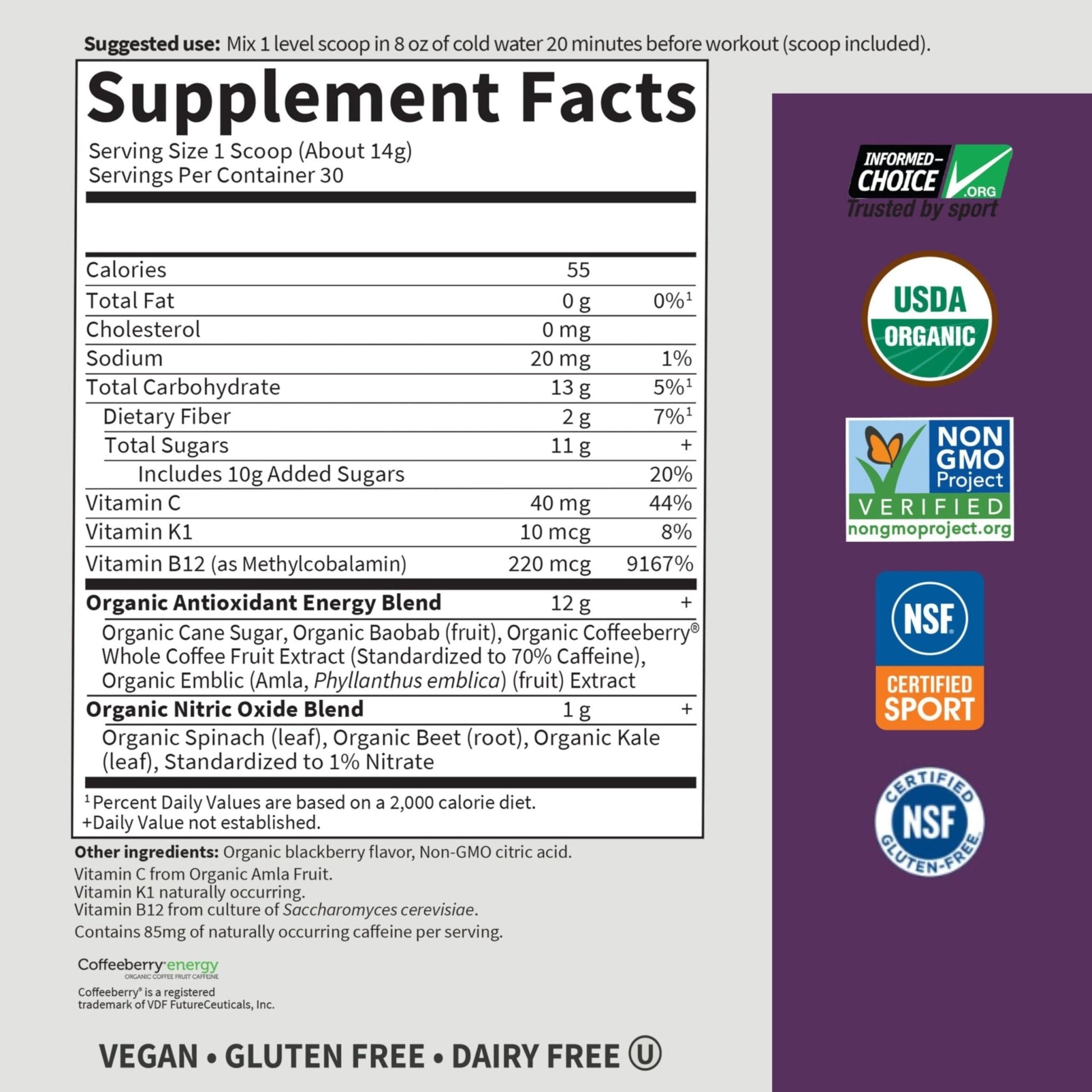 Garden of Life Sport Organic Plant Based Energy + Focus Clean Pre Workout Powder, with 85mg Caffeine, Natural No Booster, B12, Vegan, Gluten Free, Non-GMO, BlackBerry, 15.3 Oz - Maple Wellness Supplements