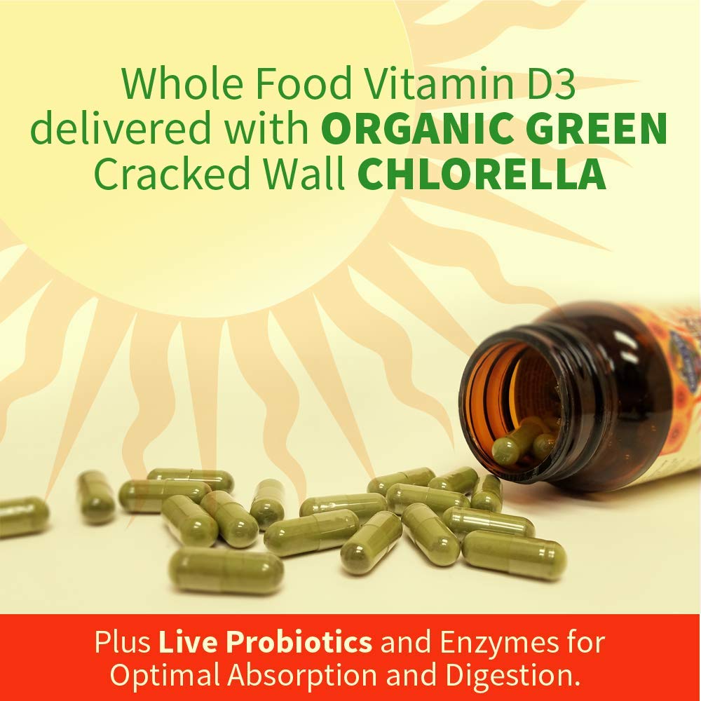 Garden of Life Vitamin D, Vitamin Code Raw D3, Vitamin D 2,000 IU, Raw Whole Food D3 Supplements with Chlorella, Fruit, Veggies & Probiotics - Maple Wellness Supplements