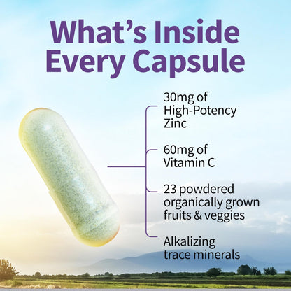 Garden of Life Zinc Supplements 30mg High Potency Raw Zinc and Vitamin C Multimineral Supplement, Vitamin Code Vitamins Trace Minerals & Probiotics - Maple Wellness Supplements