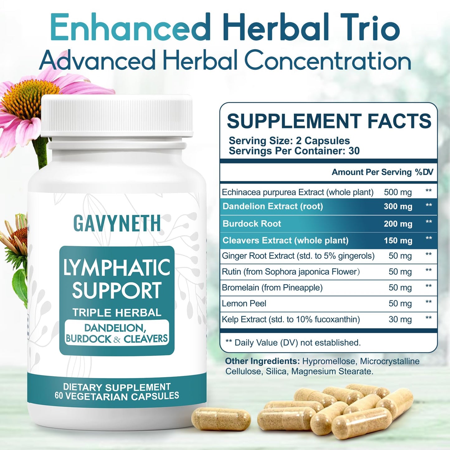 GAVYNETH Lymphatic Drainage Supplements for Lymph System Support – Echinacea, Dandelion & Burdock for Immune & Circulation Support, Vegan Herbal Formula for Women & Men, 60 Capsules - Maple Wellness Supplements