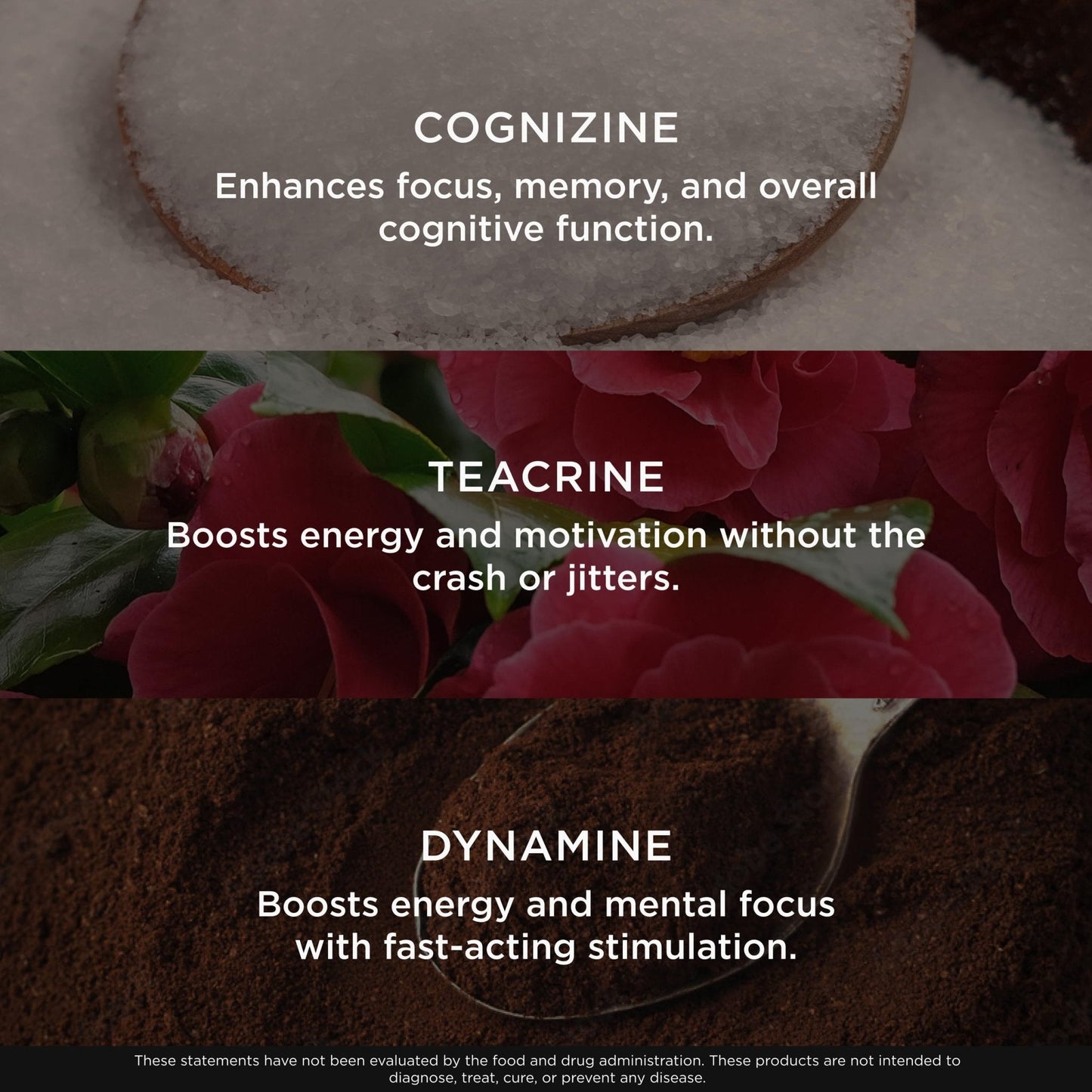 Genius Gamer, Gaming Focus Supplement, 80 Pills - Elite Nootropic Performance Booster - Boost Brain & Mental Clarity, Reaction Time & Concentration - Blue Light Support with Lutemax - Maple Wellness Supplements