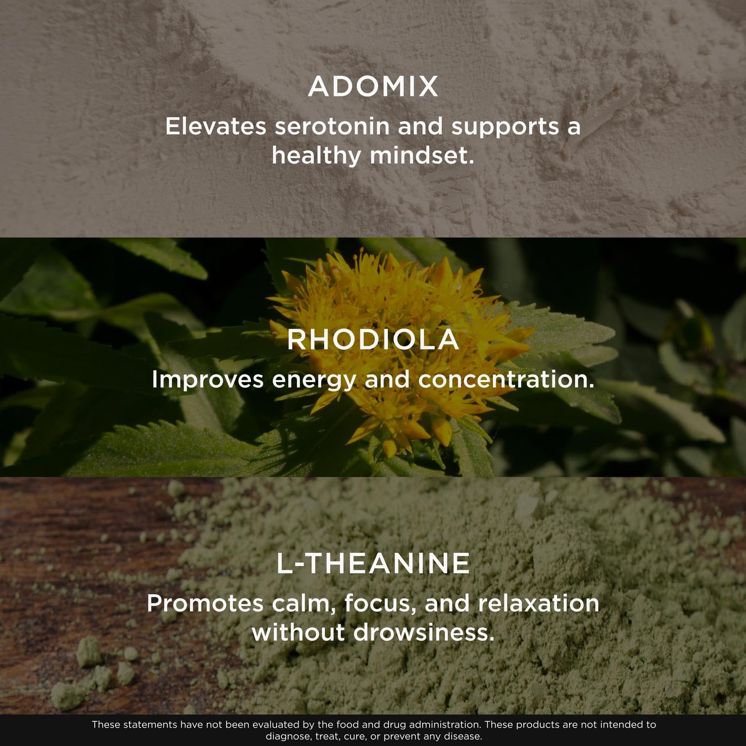 Genius Joy, Nootropic Mood Enhancer Supplement - Support Cognitive Health, Enhance Mood & Neural Function with Brain Boosting L-Theanine, Panax Ginseng & SAM-e - Organic, Non-GMO, & Gluten-Free - Maple Wellness Supplements