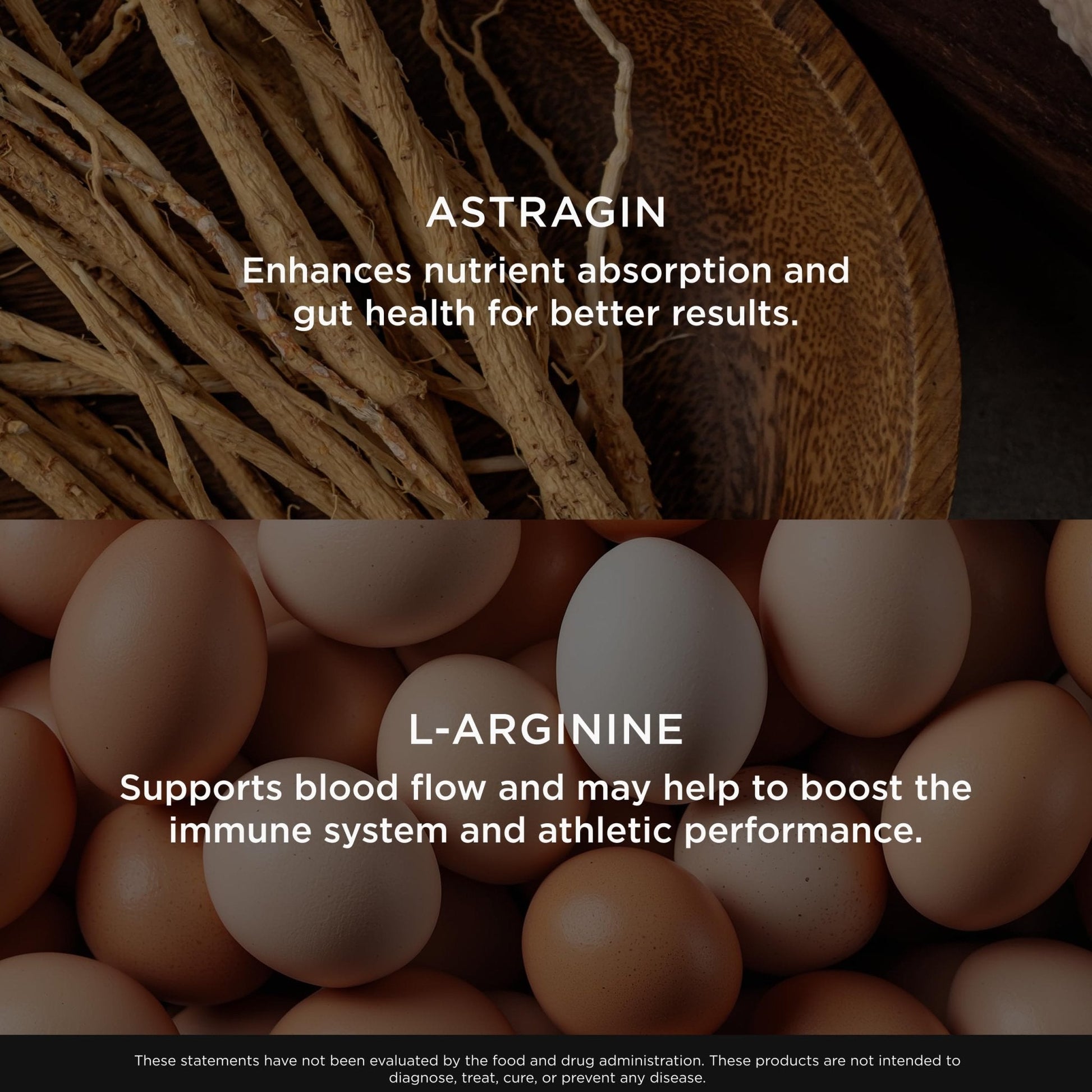 Genius L-Arginine Nitric Oxide Powder - Fermented L- Arginine Nutritional Supplements & Nitric Oxide Booster - Pre Workout, Natural Muscle Builder - 30 Servings, Lemon - Maple Wellness Supplements