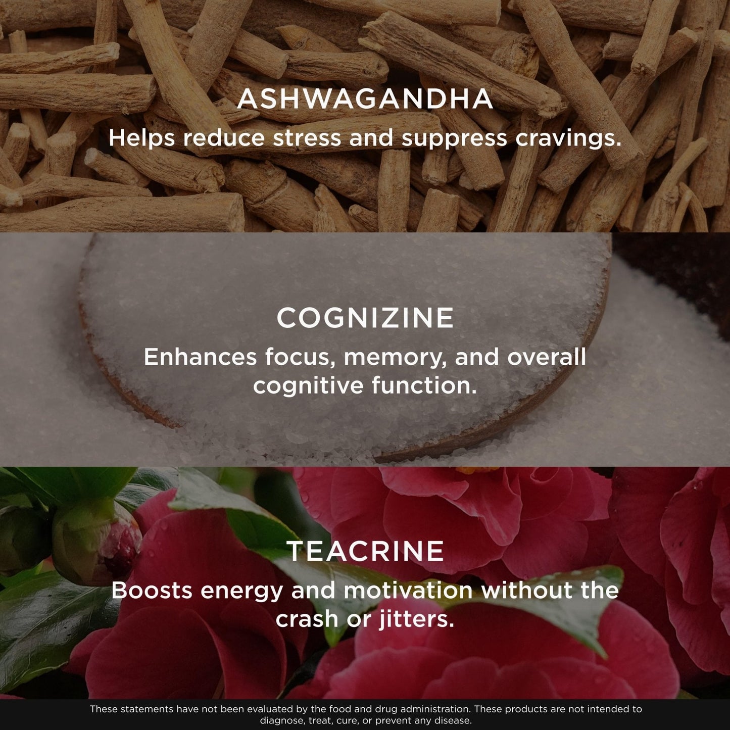 Genius Thermogenic Fat Burner, 60 Diet Veggie Pills - Weight Loss & Metabolism Supplement, Appetite Suppressant & Energy Booster - Caffeine-Free Nootropic Focus & Brain Boost - Ashwagandha & TeaCrine - Maple Wellness Supplements