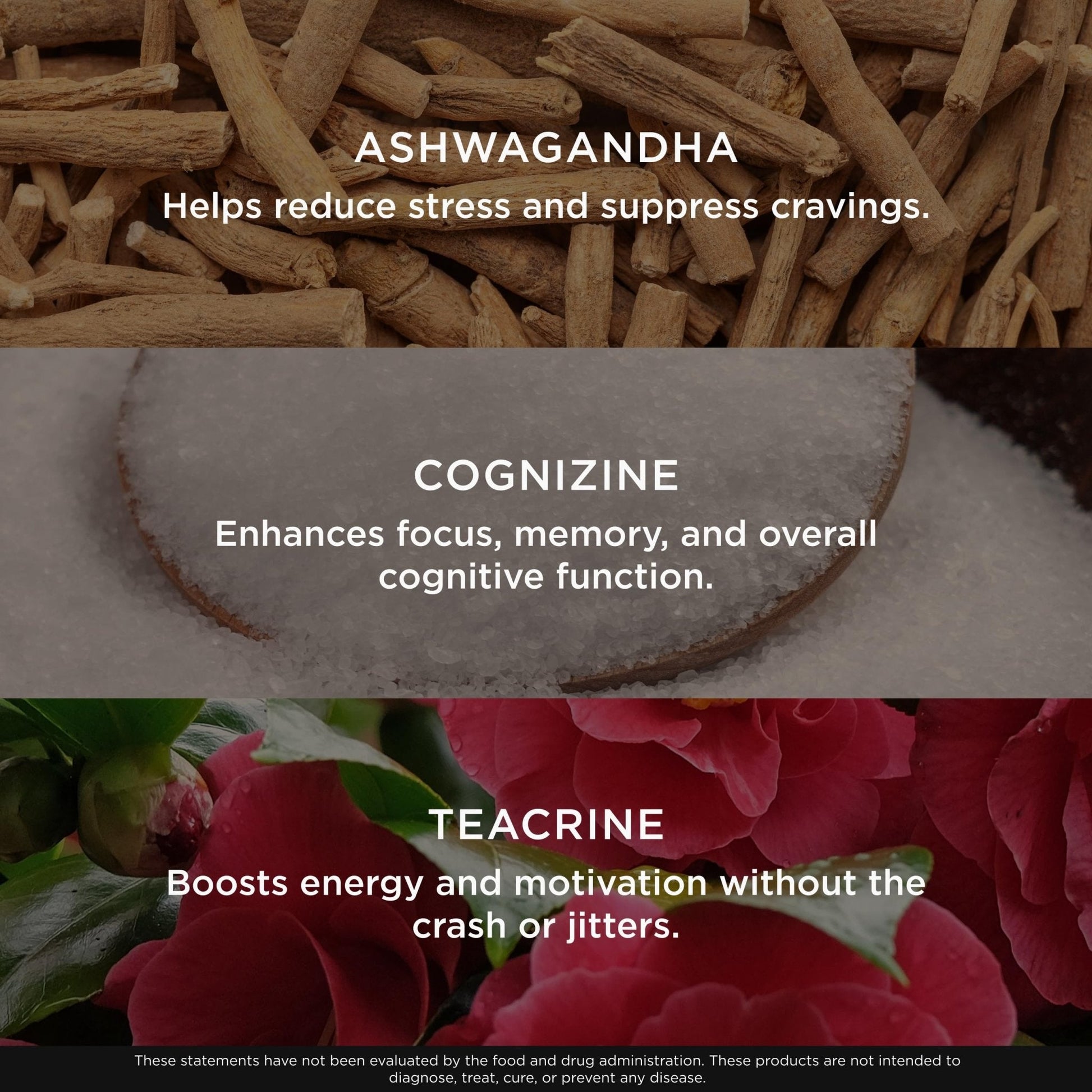Genius Thermogenic Fat Burner, 60 Diet Veggie Pills - Weight Loss & Metabolism Supplement, Appetite Suppressant & Energy Booster - Caffeine-Free Nootropic Focus & Brain Boost - Ashwagandha & TeaCrine - Maple Wellness Supplements
