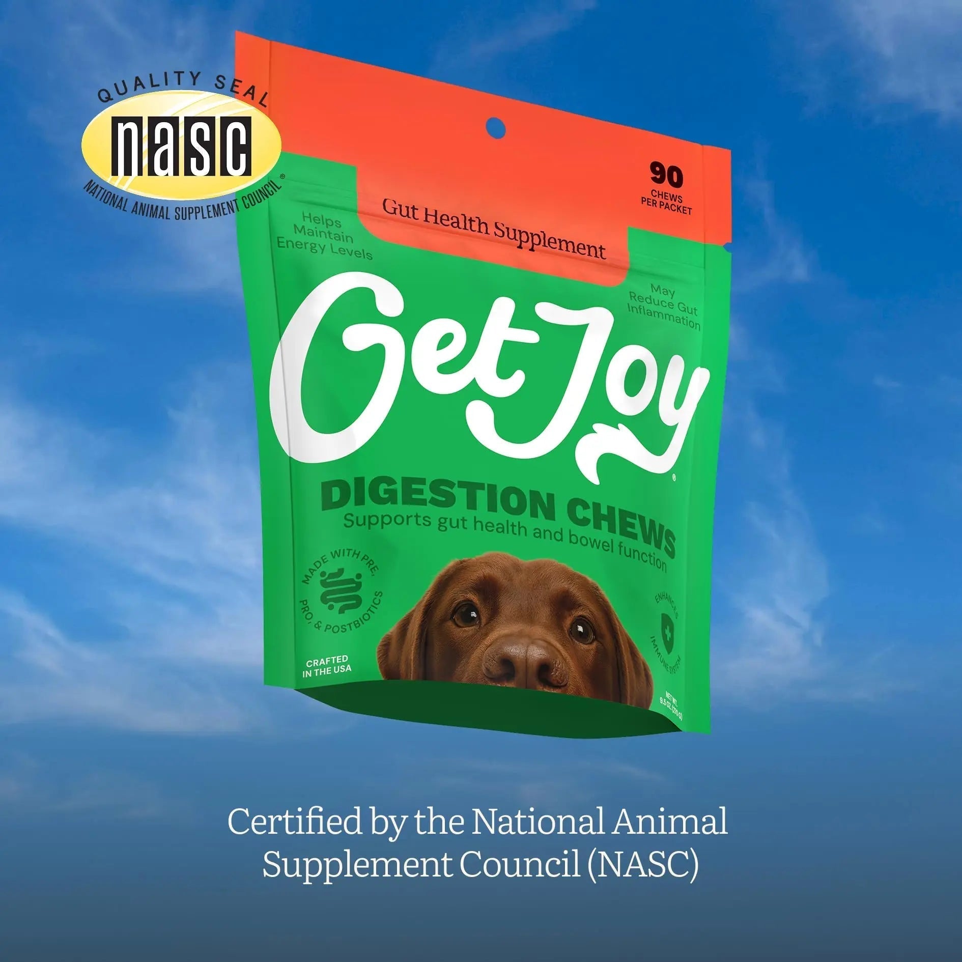 Get Joy Digestion Chews, Gut Health Supplement for Dogs, Vet Recommended Soft Daily Digestive Health & Immune Support with Prebiotics, Probiotics & Postbiotics, Made in USA, 90 Count - Maple Wellness Supplements