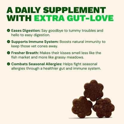 Get Joy Digestion Chews, Gut Health Supplement for Dogs, Vet Recommended Soft Daily Digestive Health & Immune Support with Prebiotics, Probiotics & Postbiotics, Made in USA, 90 Count - Maple Wellness Supplements