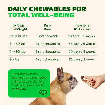 Get Joy Digestion Chews, Gut Health Supplement for Dogs, Vet Recommended Soft Daily Digestive Health & Immune Support with Prebiotics, Probiotics & Postbiotics, Made in USA, 90 Count - Maple Wellness Supplements