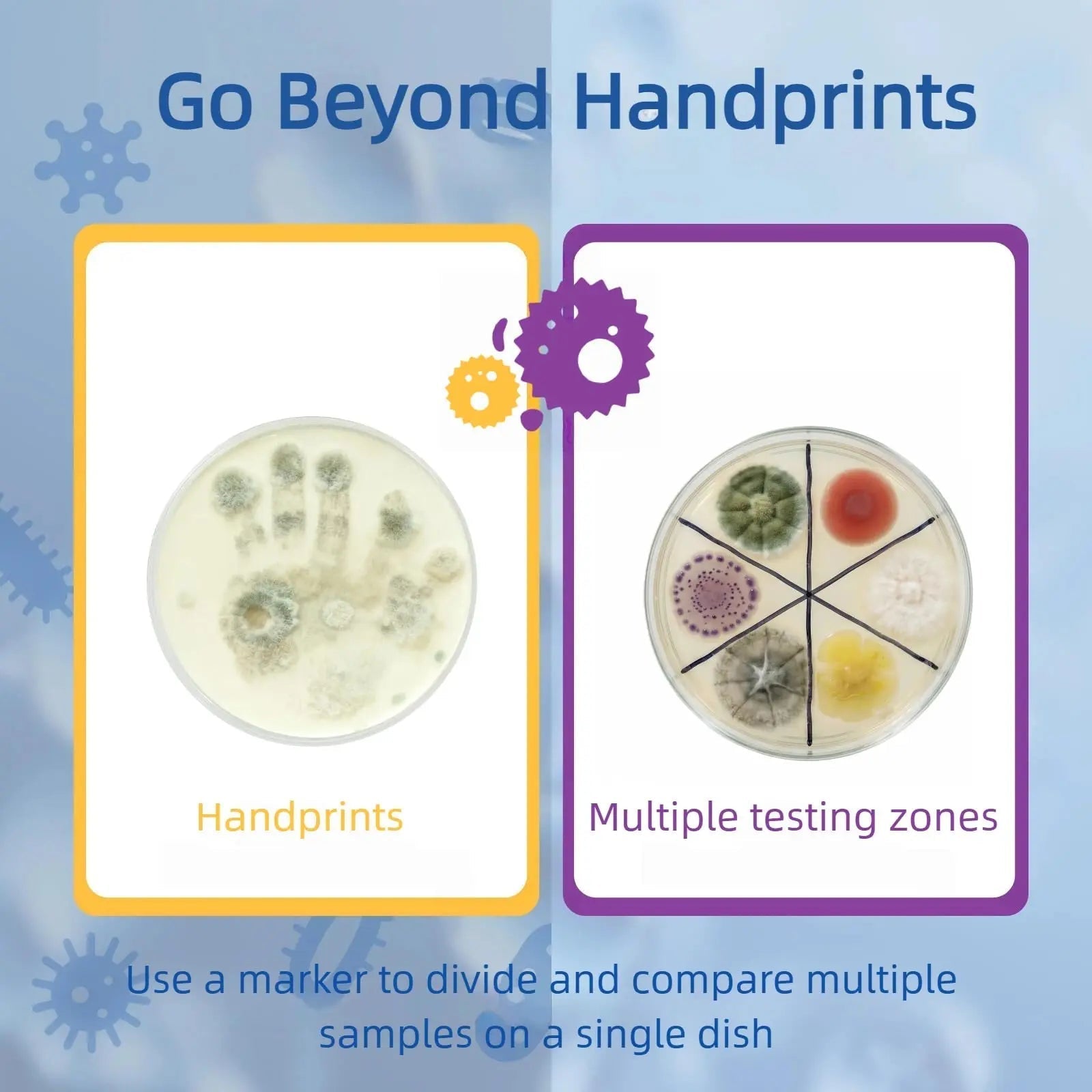 Giant Microbiology Bacteria Science Kit for Kids:2 XL 150mm Prepoured Nutrient Agar Plates, Petri Dishes with Agar & Colony Characteristics Poster for School Projects & Educational Gifts - Maple Wellness Supplements