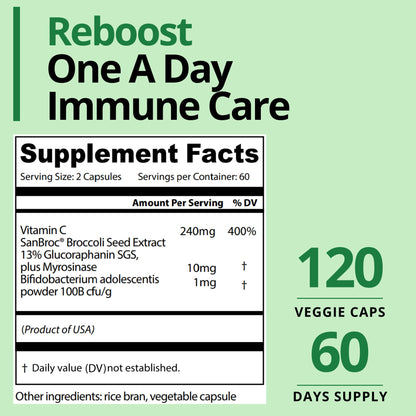 GIGANTIC Sulforaphane + Myrosinase 10mg (120 Capsules) - Includes Vitamin C - Maple Wellness Supplements