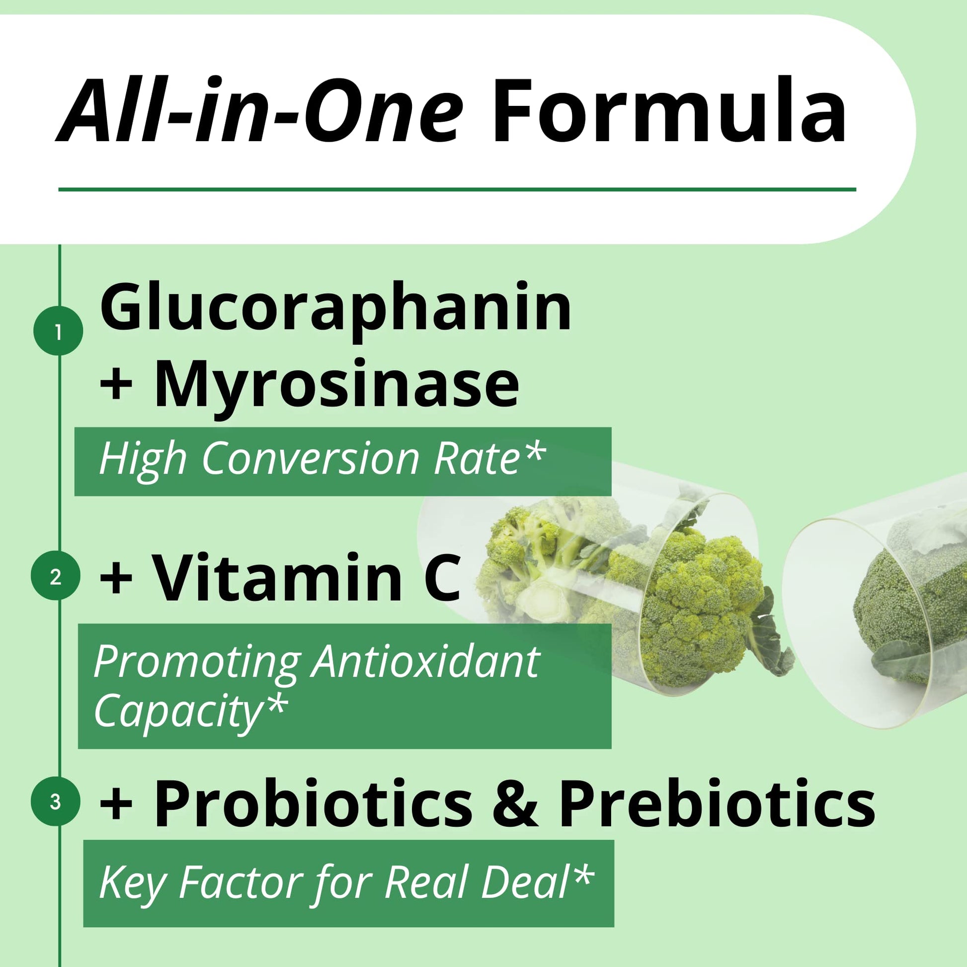 GIGANTIC Sulforaphane + Myrosinase 10mg (120 Capsules) - Includes Vitamin C - Maple Wellness Supplements