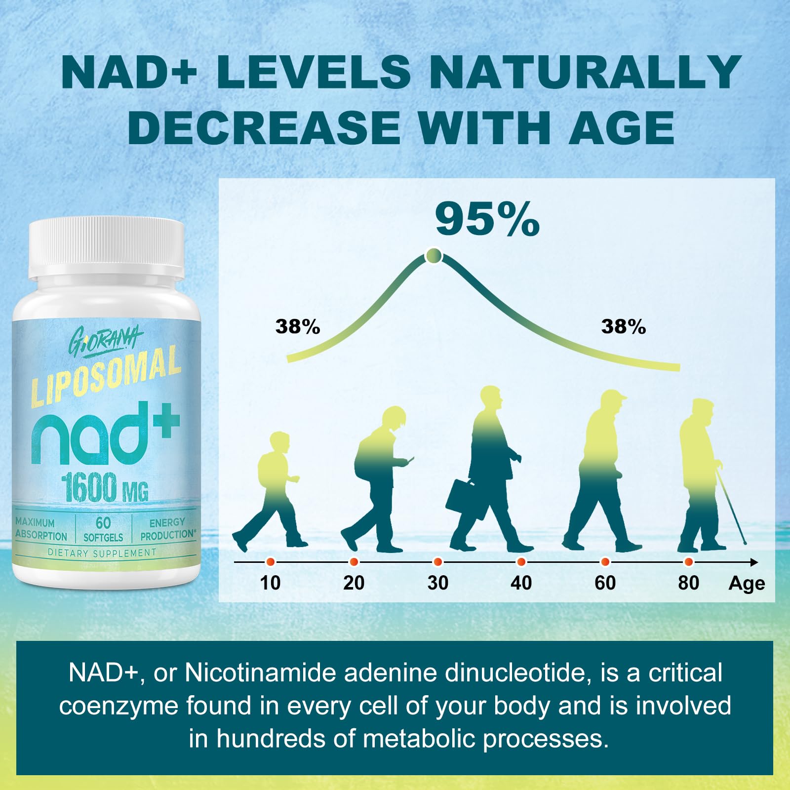 GIORANA 1600 MG Liposomal NAD+ Supplement, NAD+ Boosting Supplement, Superior Absorption, Vitamin B3 for Aging Defense, Longevity, Energy, Repair, Non-GMO, 60 Softgels - Maple Wellness Supplements