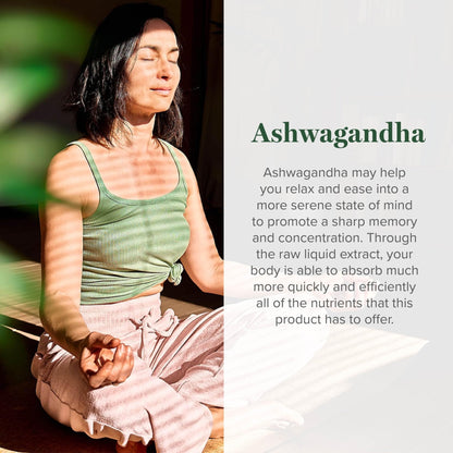 Global Healing Center - Organic Ashwagandha Supplements Drops - KSM-66 Ashwagandha Extra Strength for Men & Women, Helps Promote Relief from Stress, Mood Support, Organic (2 Fl Oz) - Maple Wellness Supplements