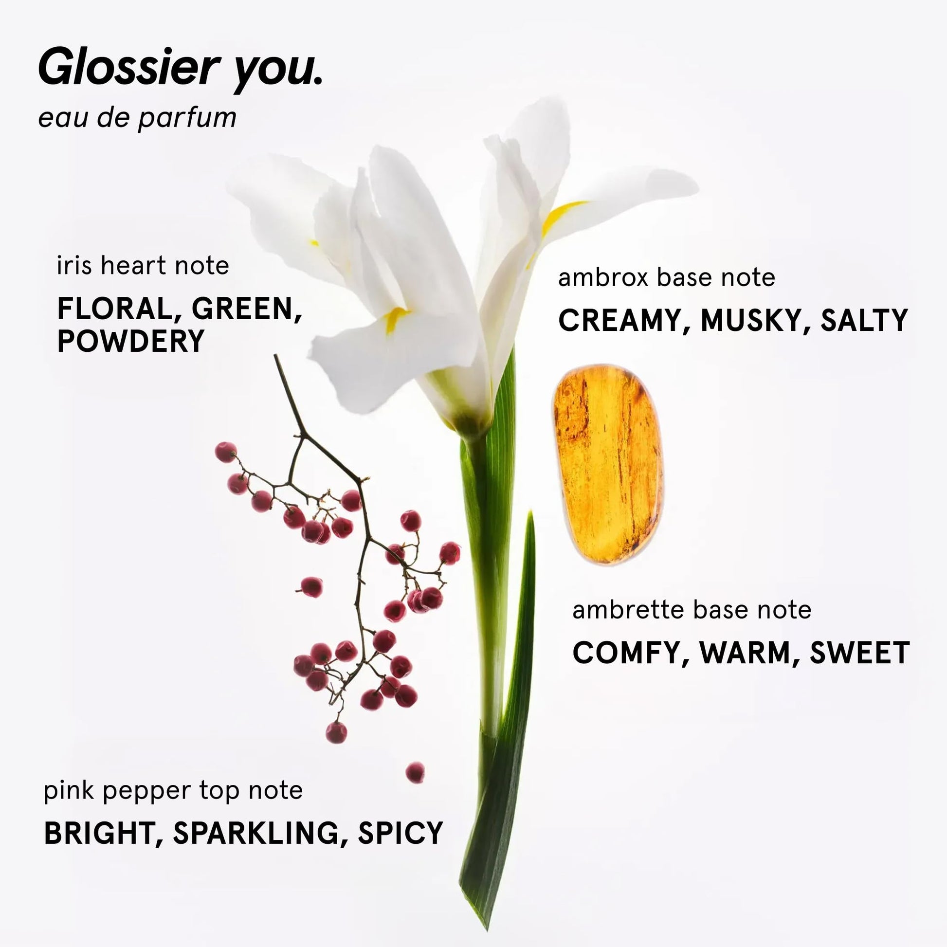 Glossier You Eau de Parfum - Unisex Fragrance for Men & Women, Skin-Scent Enhancer Smells Different on Everyone - Musky, Warm & Spicy Perfume with Pink Pepper, Iris & Ambrox Base Notes, 50ml - Maple Wellness Supplements