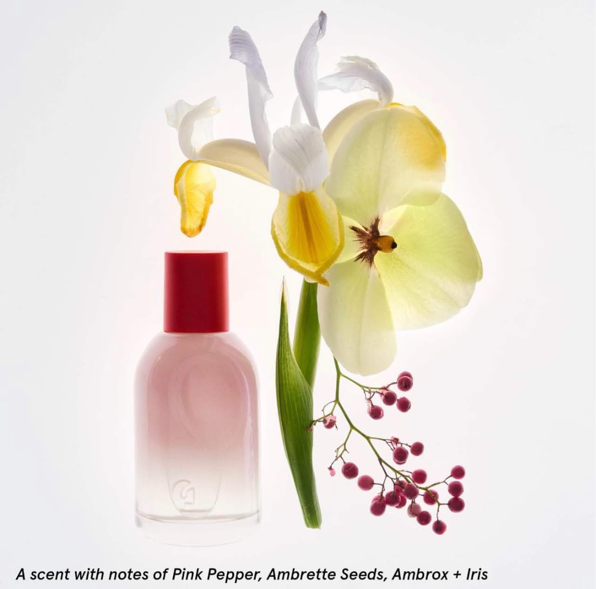 Glossier You Limited Edition Two of You Eau de Parfum Holiday Gift Set - Full Size Spray (1.7oz / 50ml) and Travel Size Rollerball (0.27oz / 8ml) - Maple Wellness Supplements