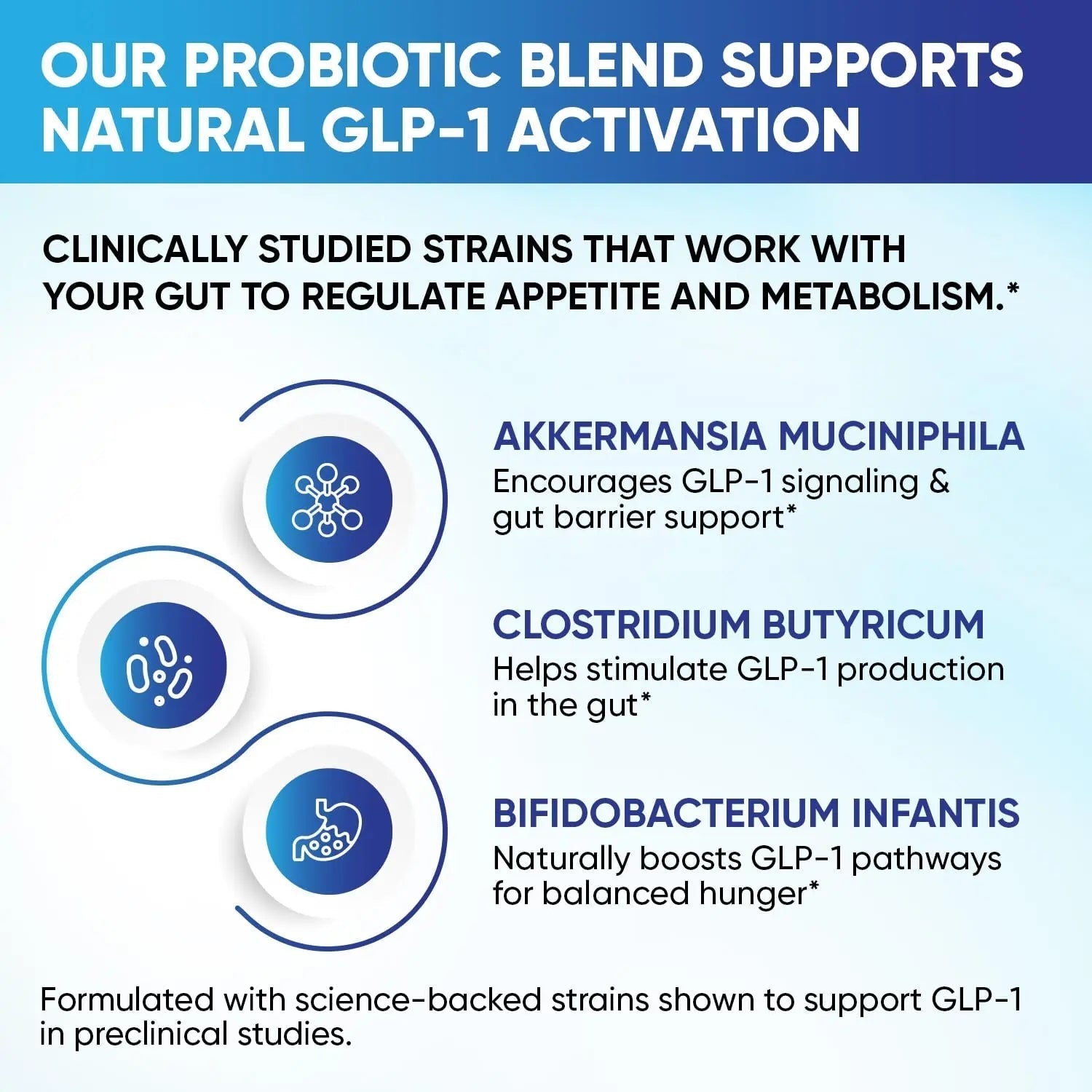 GLP-1 XLR8 Supplement for Weight Loss, Digestion, Constipation, Bloating Relief with Akkermansia 2.6 Billion AFU Live Prebiotic Probiotic Postbiotic Gut Health + Berberine for Women Men 360 Capsules - Maple Wellness Supplements