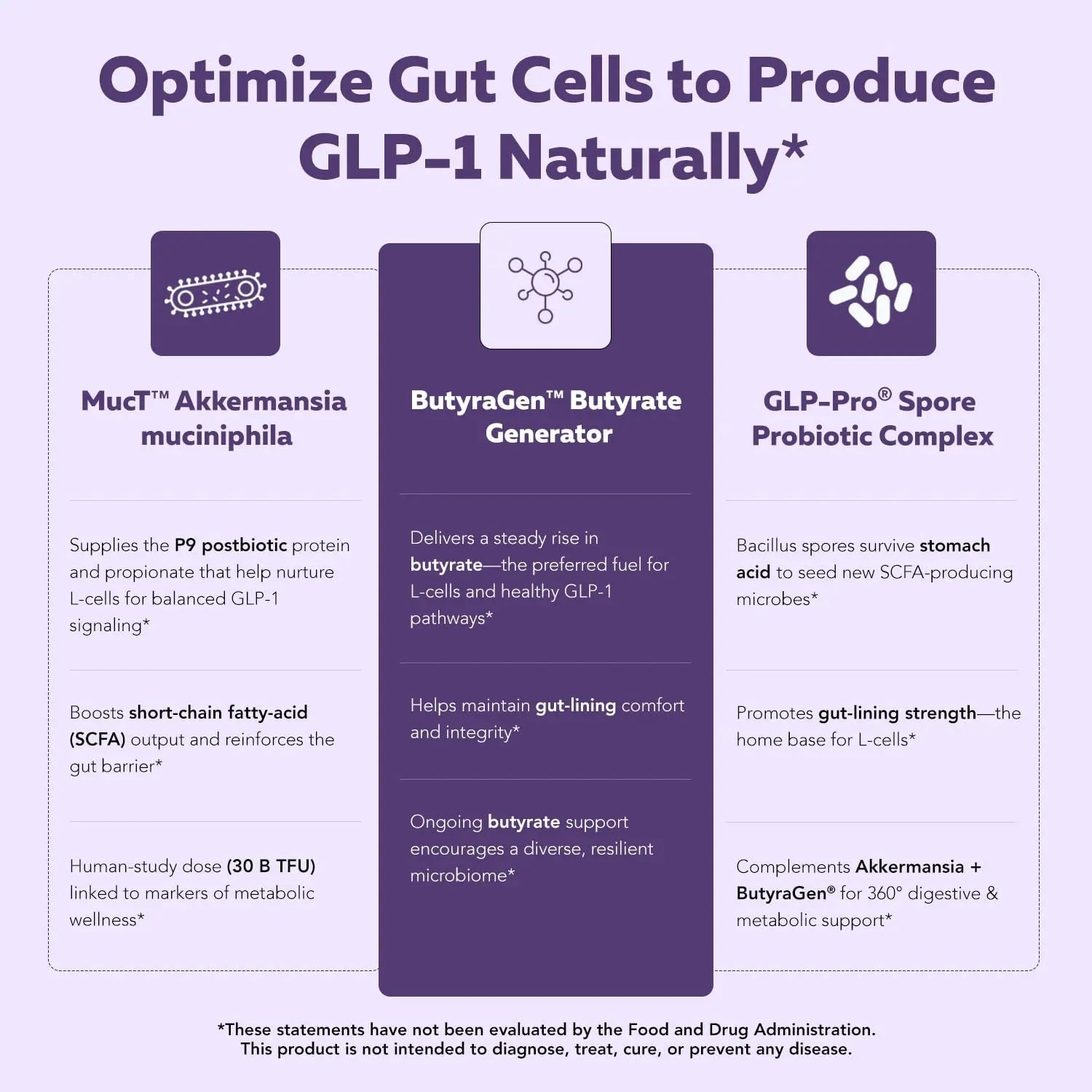 GLP-Pro™: Probiotic & Postbiotic Blend for Natural GLP-1 Support — Akkermansia MucT™, ButyraGen® Butyrate Generator & Spore Bacillus — Healthy Appetite, SCFA & Metabolic Balance — 30 Count - Maple Wellness Supplements