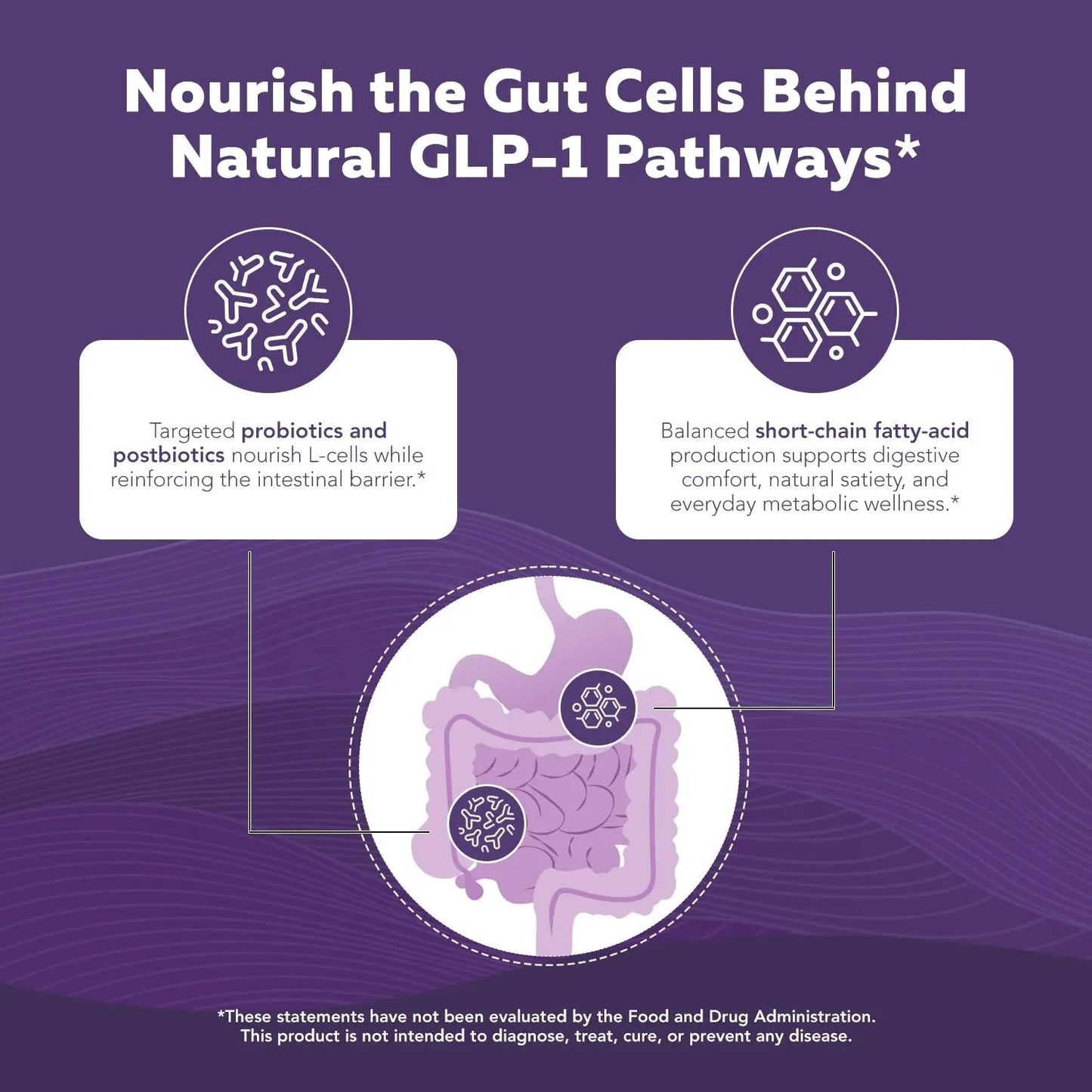 GLP-Pro™: Probiotic & Postbiotic Blend for Natural GLP-1 Support — Akkermansia MucT™, ButyraGen® Butyrate Generator & Spore Bacillus — Healthy Appetite, SCFA & Metabolic Balance — 30 Count - Maple Wellness Supplements