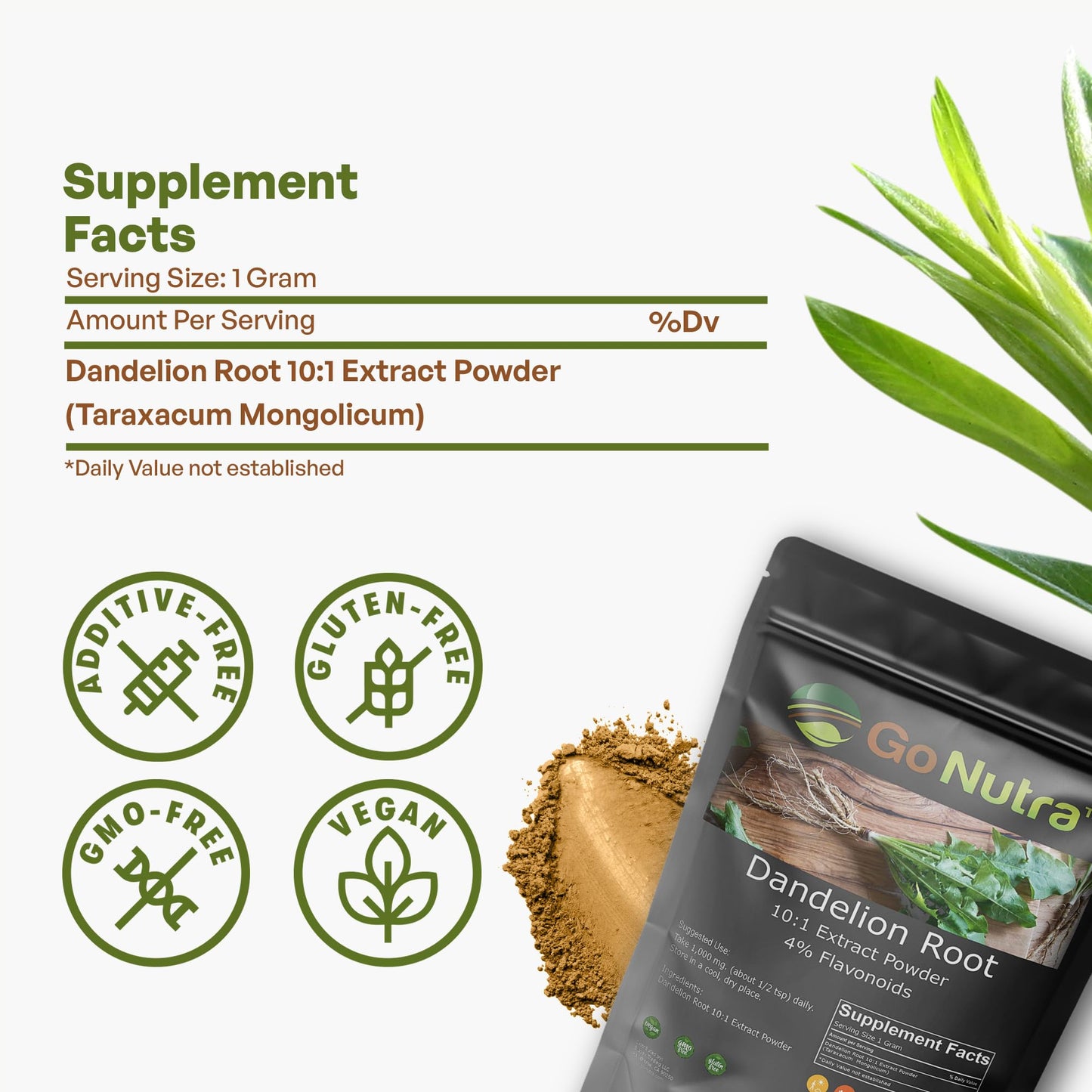 Go Nutra - Dandelion Root Powder, Potent 10:1 Dandelion Root Extract with 4% Flavonoids - Maple Wellness Supplements
