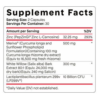Goodness Lover Inflammation Pro, with 10 Billion CFU for Digestive Support, Curcumin, White Willow bark Extract, Zero fillers, Vegan, 30 Servings - Maple Wellness Supplements