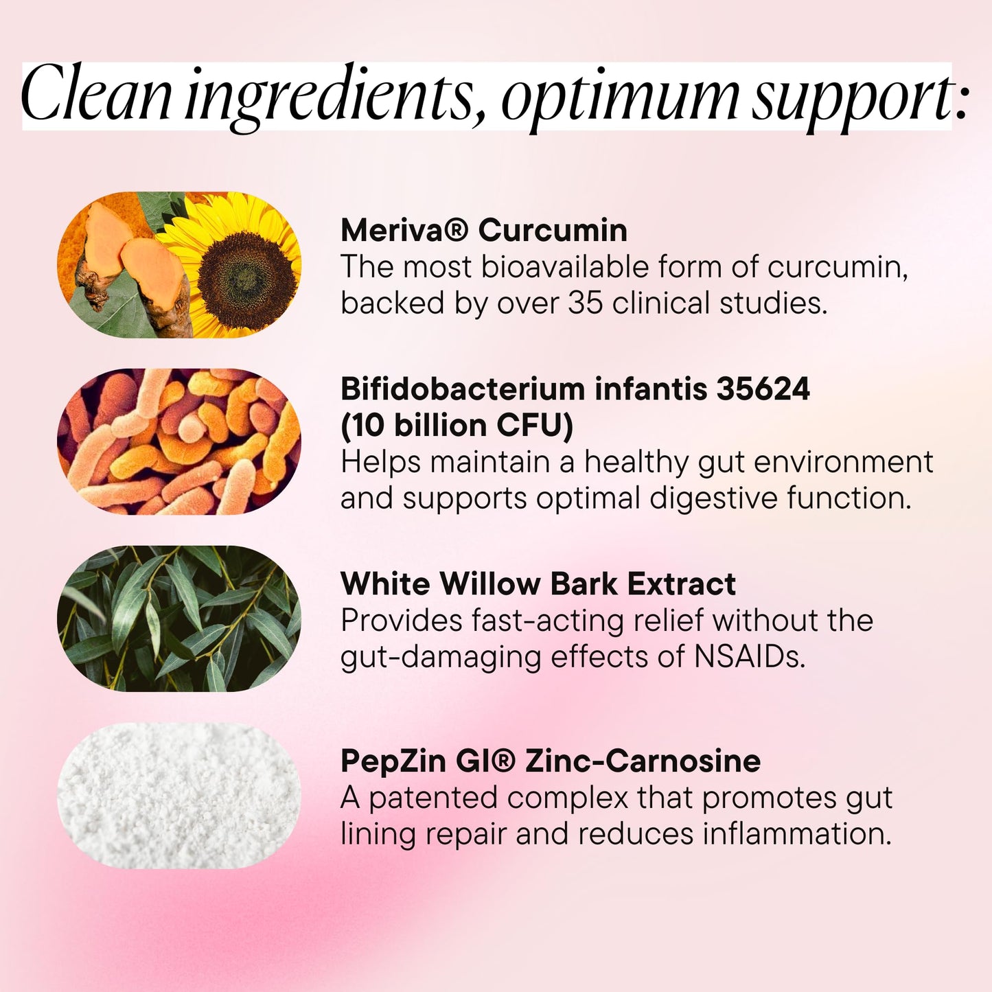 Goodness Lover Inflammation Pro, with 10 Billion CFU for Digestive Support, Curcumin, White Willow bark Extract, Zero fillers, Vegan, 30 Servings - Maple Wellness Supplements