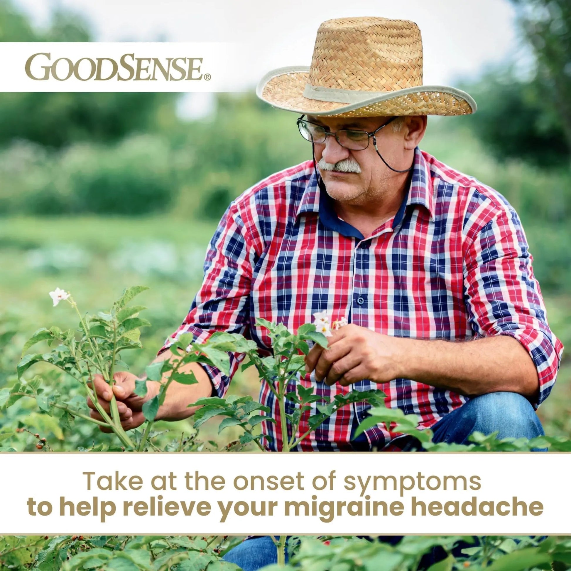 GoodSense Migraine Relief Geltabs, Acetaminophen, Aspirin (NSAID) and Caffeine, 80 Count - Maple Wellness Supplements