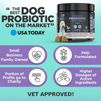 Googipet Probiotics for Dogs Digestive Health - Prebiotics and Probiotics Chews for Dog Yeast Infection Treatment + Digestive Enzymes - Dog Probiotics for Itchy Skin & Ears w/Papaya, Pumpkin, & Fiber - Maple Wellness Supplements