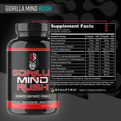 Gorilla Mind Rush - Nootropic Supplement | Intense Focus · Insane Productivity Cognitive Health Support, Memory, Focus, - Maple Wellness Supplements